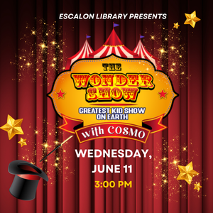 The Wonder Show with